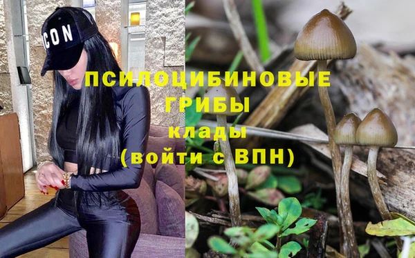 бошки Алексеевка